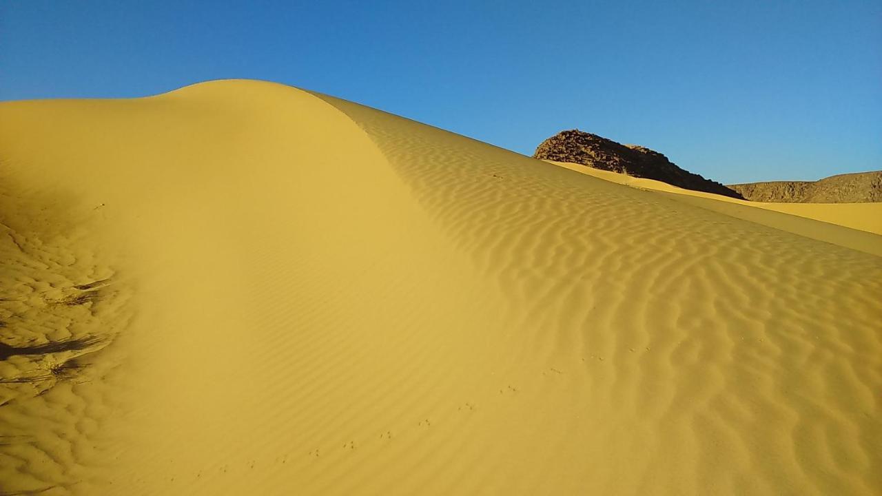 Mozoon Camp Hotell Wadi Rum Exteriör bild