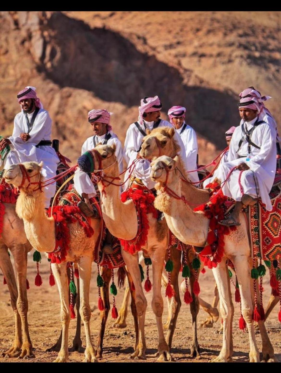 Mozoon Camp Hotell Wadi Rum Exteriör bild